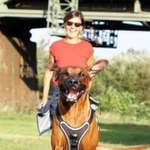 Ersteller:in Michaela  Profilbild