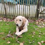 Ersteller:in Karen Profilbild