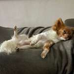 Ersteller:in S Profilbild