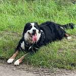 Ersteller:in Anja Profilbild