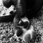 Ersteller:in Jessica Profilbild