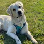 Ersteller:in Ute Profilbild