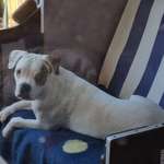 Ersteller:in Marcel Profilbild