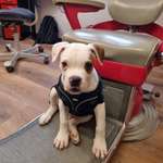 Ersteller:in Marcel Profilbild