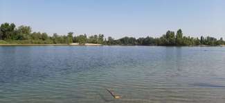 Hundeauslaufgebiet-Binsfeld-Bild