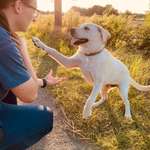 Ersteller:in Vanessa Profilbild