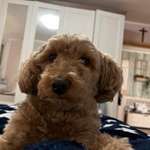 Ersteller:in Melli Profilbild