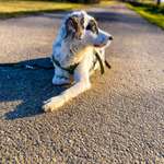 Ersteller:in Aileen Profilbild