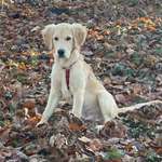 Ersteller:in Hannah Profilbild