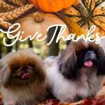 Ersteller:in Vivi Profilbild