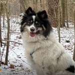 Ersteller:in Petra Profilbild