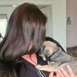 Ersteller:in Steffi Profilbild