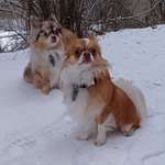 Ersteller:in Jenny Profilbild