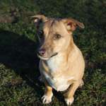 Ersteller:in Calvin Profilbild