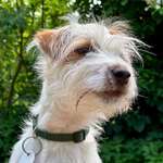 Ersteller:in Verena Profilbild