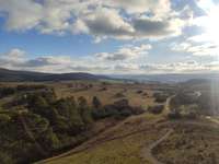 Hundeauslaufgebiet-Weinberg-Bild