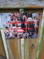 Hundeauslaufgebiet-Brunsbüttel-Bild