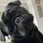 Ersteller:in Jennifer Profilbild