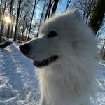 Ersteller:in Stephan Profilbild