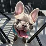 Ersteller:in Pat Profilbild