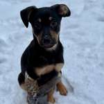 Ersteller:in Angeliki Profilbild