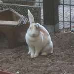 Ersteller:in Leonie Profilbild