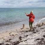 Ersteller:in Stefanie Profilbild