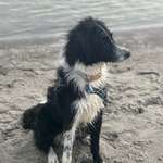 Ersteller:in Jenny Profilbild