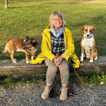 Ersteller:in Sonja Profilbild