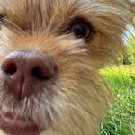 Ersteller:in Marion Profilbild