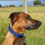 Ersteller:in Elvi Profilbild