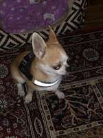 Suchmeldung-Ivo-Bild