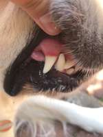 Könnt ihr mir helfen?-Beitrag-Bild