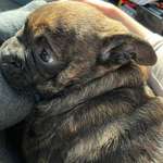 Ersteller:in Claire Profilbild