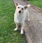 Ersteller:in Petra Profilbild