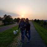 Ersteller:in Clarissa / Aileen Profilbild