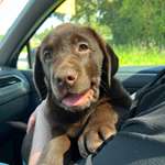 Ersteller:in Sandra Profilbild