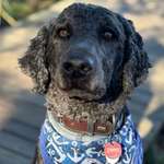 Ersteller:in Julia Profilbild