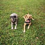 Ersteller:in Kerstin Profilbild