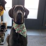 Ersteller:in Babsi Profilbild