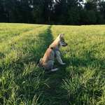 Ersteller:in Sylvia Profilbild