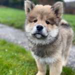 Ersteller:in Sarah Profilbild