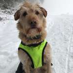 Ersteller:in Mirah Profilbild