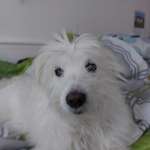 Ersteller:in Sandra Profilbild