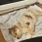 Ersteller:in Nathalie Madlen Profilbild