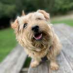 Ersteller:in Ingrid Profilbild