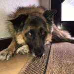 Ersteller:in Sandra Profilbild