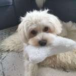 Ersteller:in Heidi Profilbild