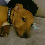 Ersteller:in Mandy Profilbild