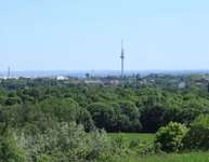 Hundeauslaufgebiet-Flottmannpark-Bild